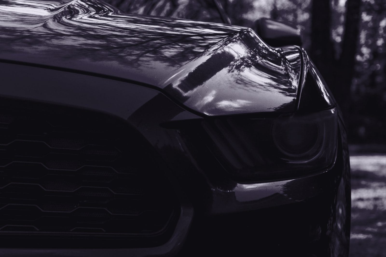 Fekete autó motorházteteje és fényszórója közelről, fák tükröződésével